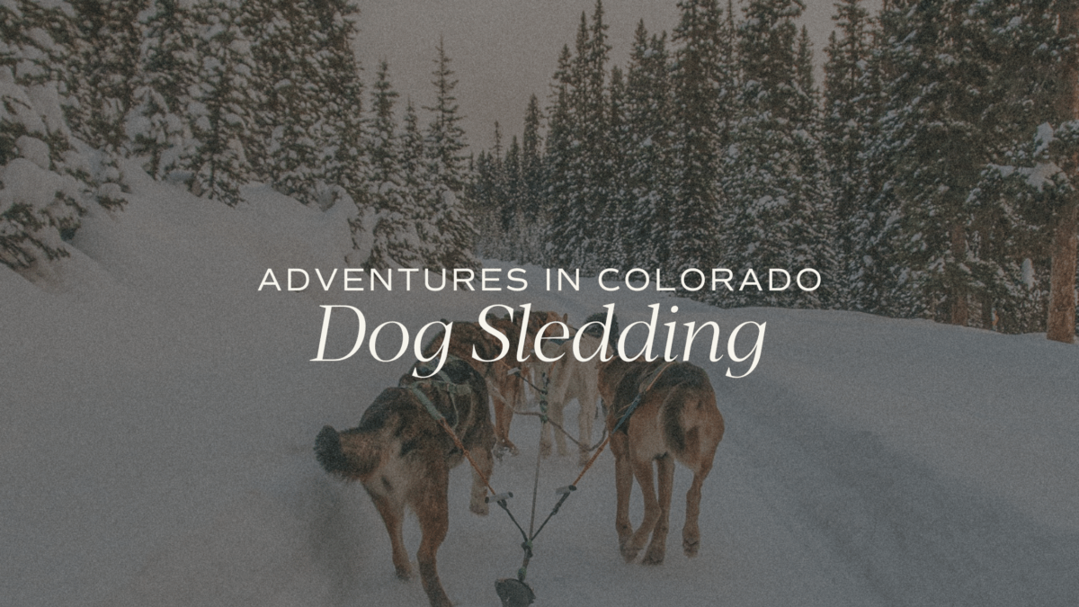 Embark on an adventure with dog sledding in Durango, Colorado. Learn everything you need to know about this thrilling winter activity.