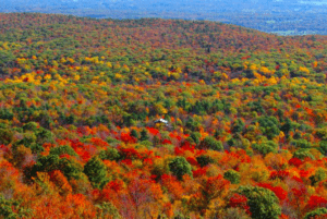 new england fall foliage from helicopter