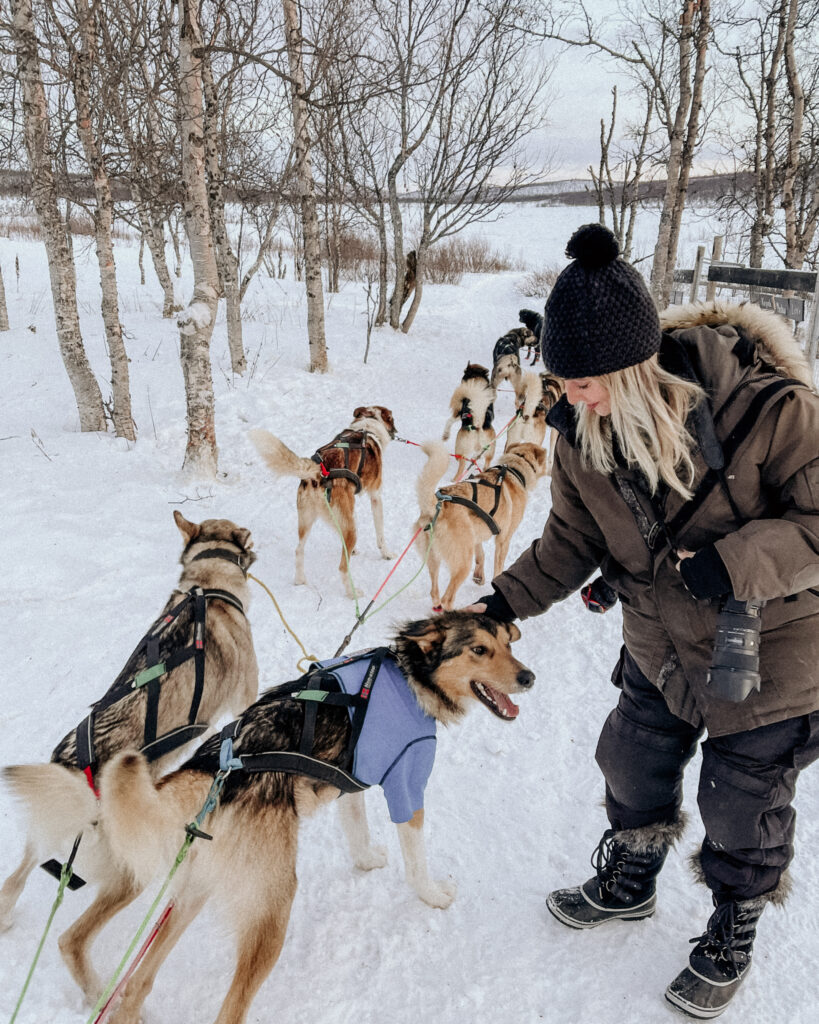 dogsledding is one our our favorite winter activities