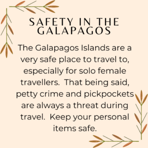 The Galapagos Islands are a very safe place to travel to, especially for solo female travellers. That being said, petty crime and pickpockets are always a threat during travel. Keep your personal items safe.