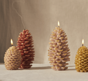 autumn and winter home decor pinecone candle anthropologie