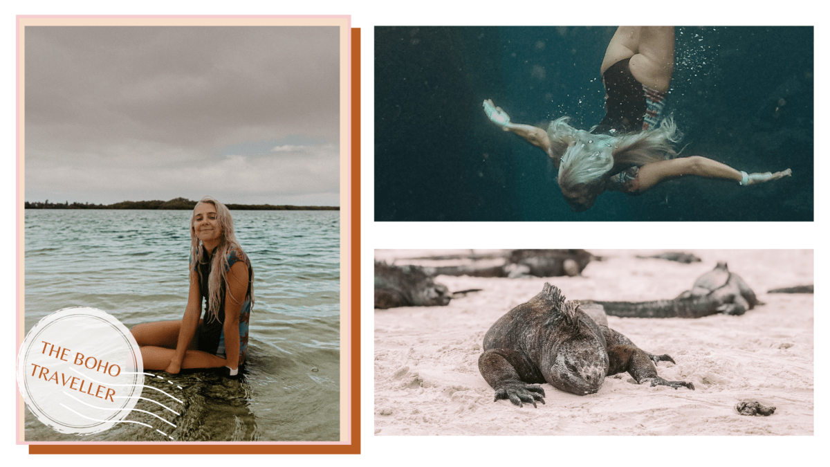 galapagos islands travel guide