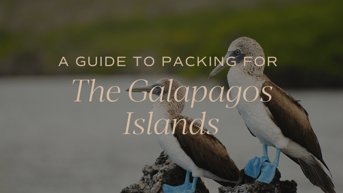 how to pack for the galapagos islands