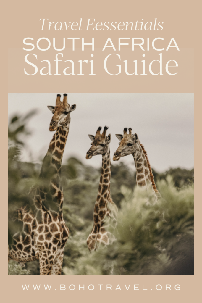 Explore the untamed wilderness of South Africa with our comprehensive safari guide. From the sprawling savannas of Kruger National Park to the secluded waterways of the Okavango Delta, we cover the must-visit destinations for wildlife enthusiasts. Get insider tips on the best times to witness the Great Migration, how to safely observe the Big Five, and choosing sustainable travel options. Our guide also offers advice on packing essentials and cultural etiquette. Whether you're a first-timer or a seasoned adventurer, this blog post is your gateway to an unforgettable African safari experience.