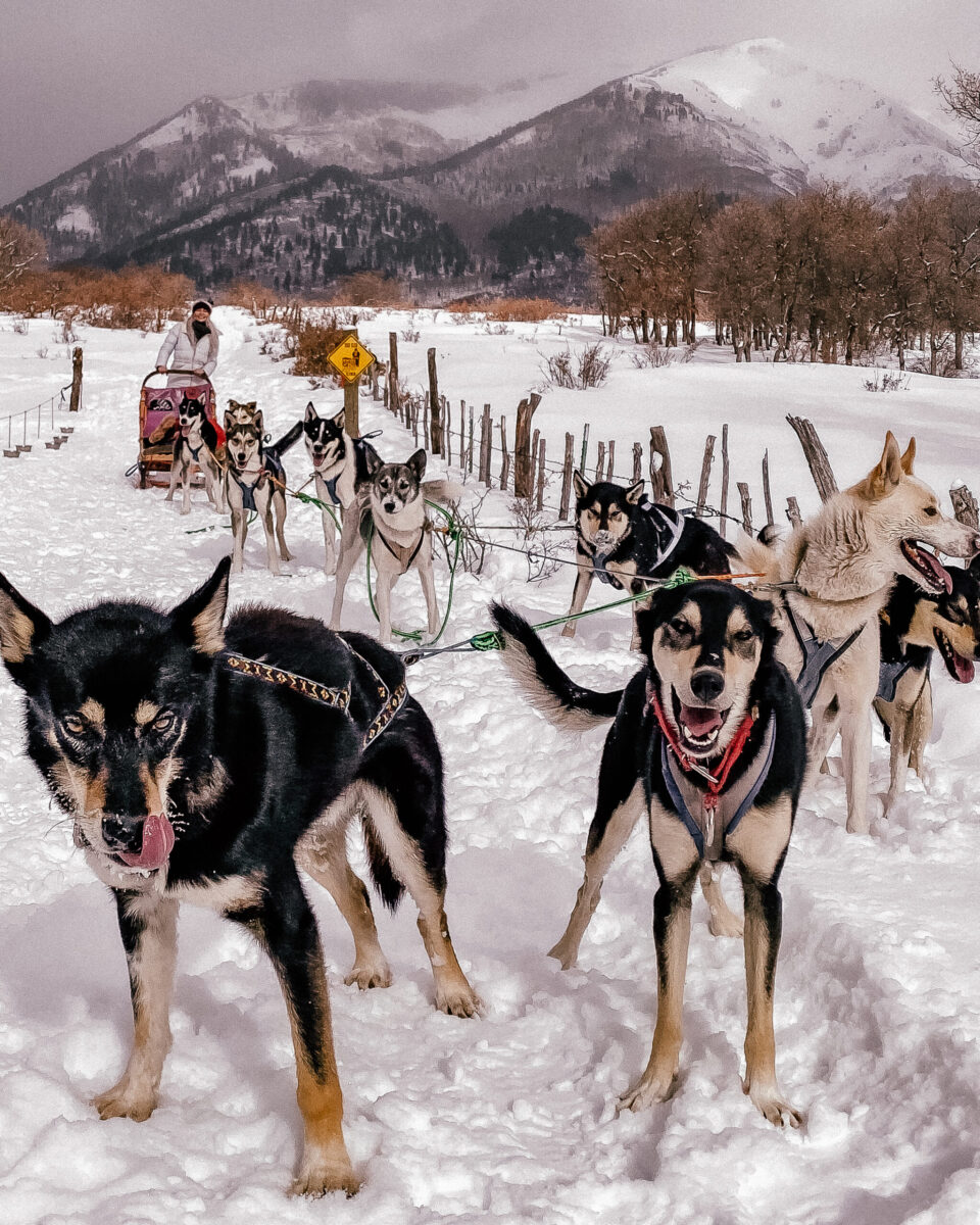 Adventure Awaits in Durango, Colorado Best Things to Do